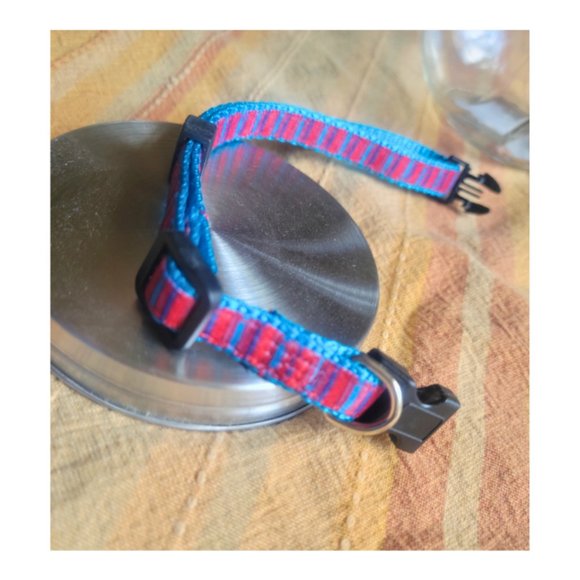 Red and Blue Stripped Adjustable Small Pet Collar - Picture 3 of 5